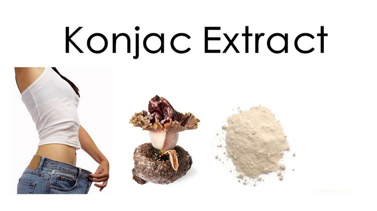 Konjac extract.jpg